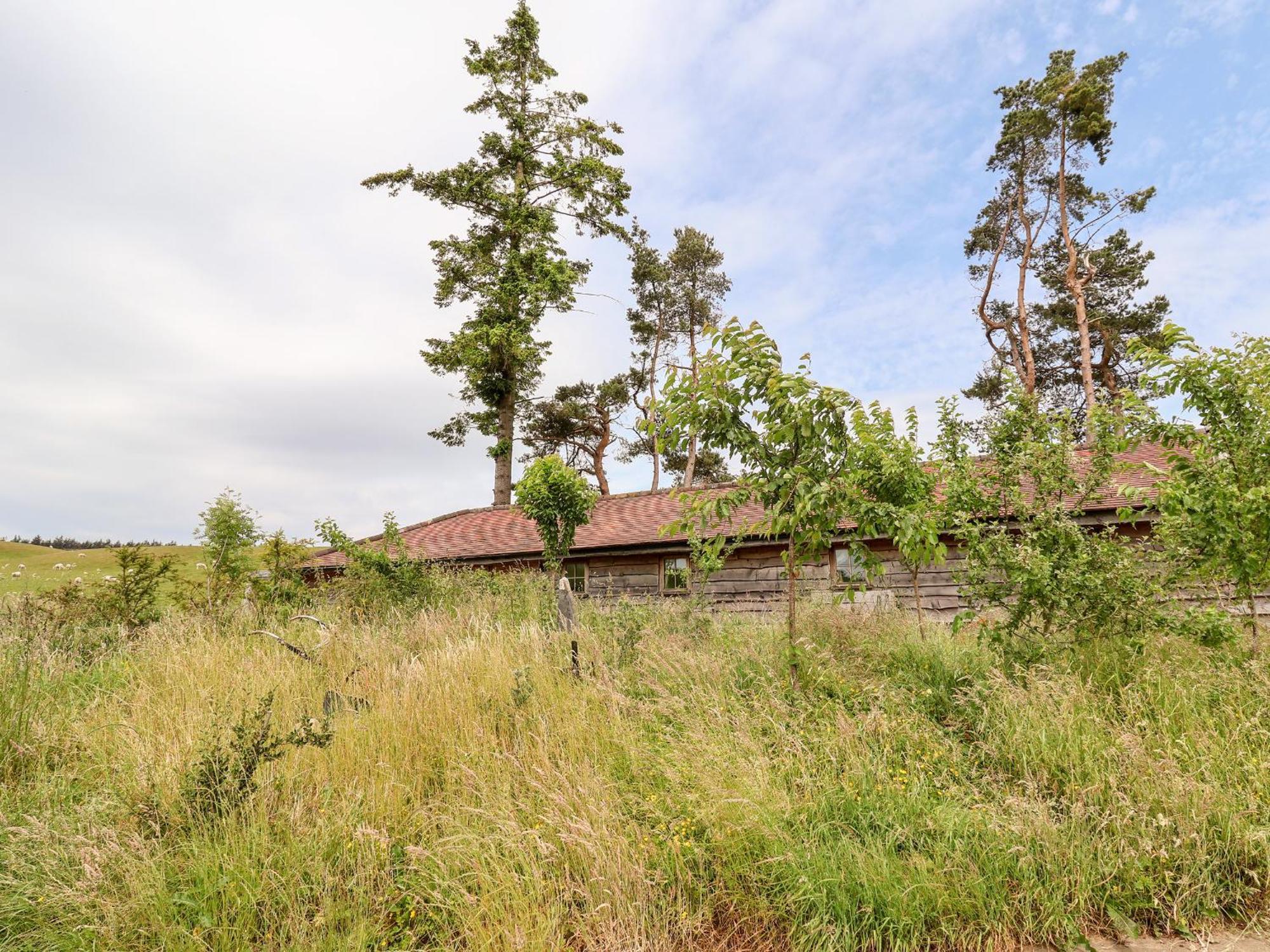 Y Caban Villa Llangollen Eksteriør billede